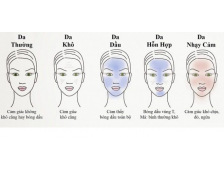 Cách Phân Biệt Da Dầu, Da Khô, Da Hỗn Hợp Và Hướng Dẫn Dưỡng Da Đúng Chuẩn Chuyên Gia